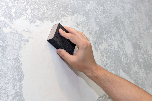 Best Forensic Mold Investigation  in Monument, CO
