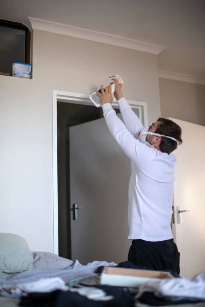 Environmental Consulting for Mold Prevention in Monument, CO