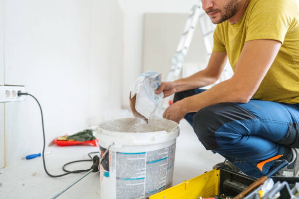 Best Mold Odor Removal Services  in Monument, CO