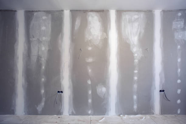 Biohazard Mold Removal in Monument, CO